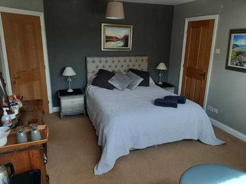 a bedroom with a large bed and two tables and two lamps at The Coach House in Beddgelert