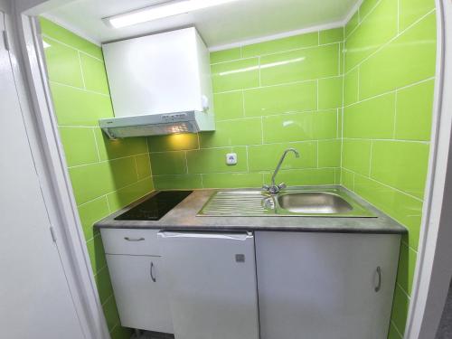 una pequeña cocina con paredes de azulejos verdes y fregadero en Estudio Grisland Pool, en Roses