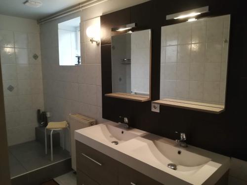 La salle de bains est pourvue d'un lavabo et d'un miroir. dans l'établissement Gîte de la Forêt, à Paray-le-Monial