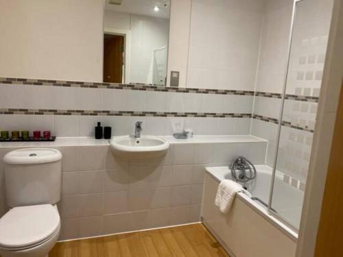 a bathroom with a toilet and a sink and a shower at 2 bed 2 baths in a central location ☆☆☆☆☆ in Basingstoke