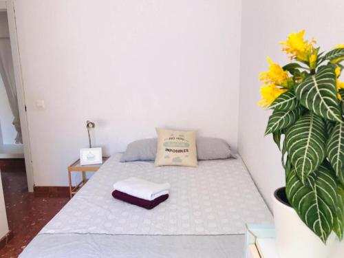 Cama en habitación con almohada y planta en Apartamento en el centro de Malaga, en Málaga