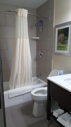 a bathroom with a toilet and a tub and a sink at Quality Inn & Suites Danbury near University in Danbury