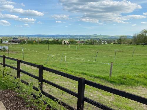 a pasture with horses in a field with a fence at Rew Farm Country & Equestrian Accommodation - Sunrise Lodge in Melksham