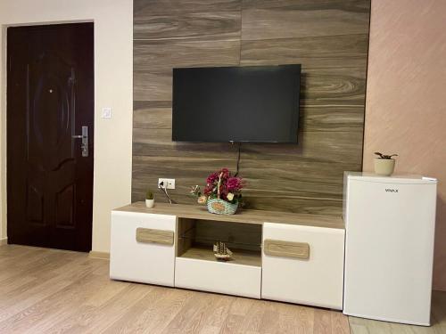 Μια τηλεόραση ή/και κέντρο ψυχαγωγίας στο Apartmani Zecevic