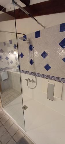 a glass shower in a bathroom with blue and white tiles at Chambres d'hôtes Elisa & Etienne in Manosque