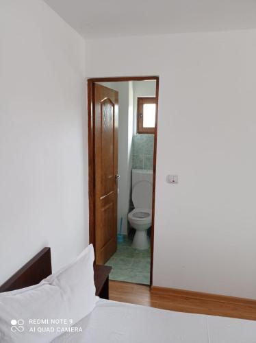 a bedroom with a bathroom with a toilet and a mirror at Vila Lotus in Murighiol