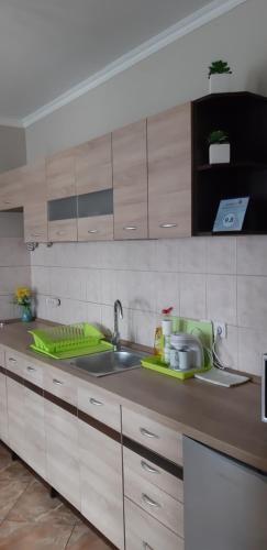 uma cozinha com um lavatório e uma bancada em Flora Apartman em Gyula