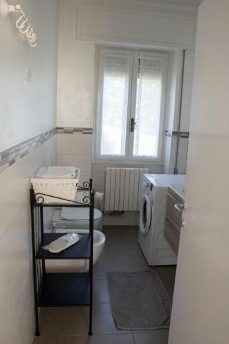 a bathroom with a toilet and a sink and a washing machine at Un nido sul lago in Ranzanico