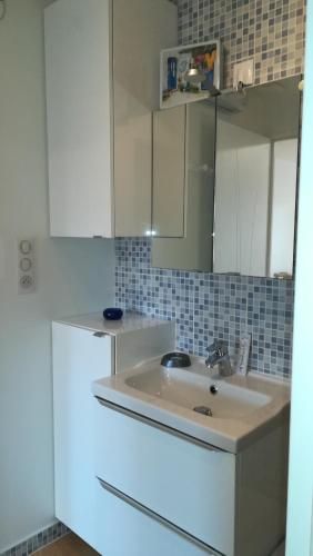 La cuisine est équipée d'un évier et d'une armoire blanche. dans l'établissement Studio cosy Yssac-la-Tourette, à Yssac-la-Tourette