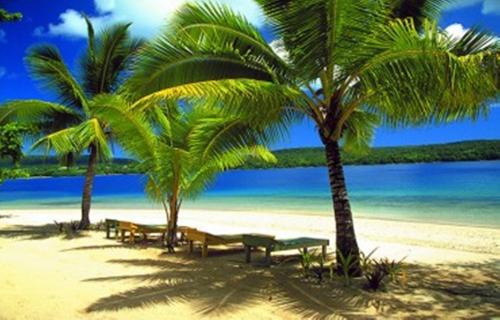 two palm trees and benches on a beach with the ocean at Tongan Beach Resort in Utungake