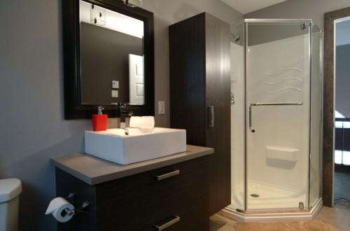 a bathroom with a white sink and a shower at 14- Chalet à louer à Stoneham in Stoneham