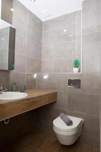 a bathroom with a toilet and a sink at Giotis apartments in Leptokarya