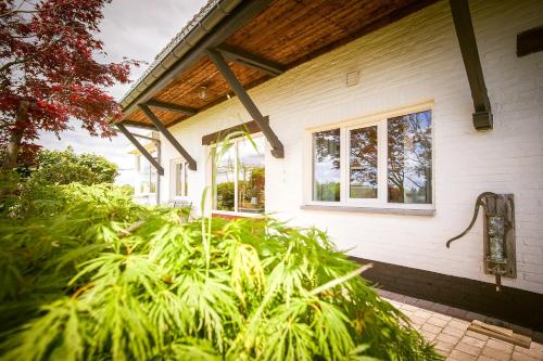 a house with green plants in front of it at Vakantiewoning Cha Nostra in Moorveld