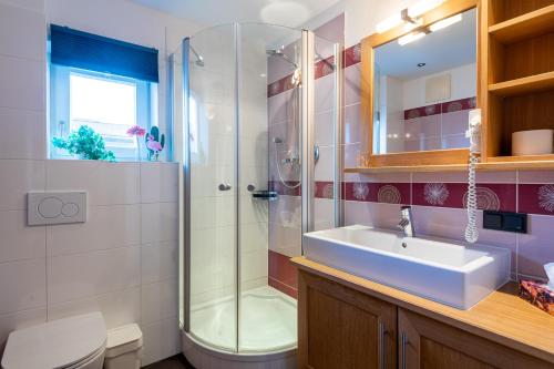 a bathroom with a shower and a sink and a toilet at Elinas Mountain Views in Kaprun