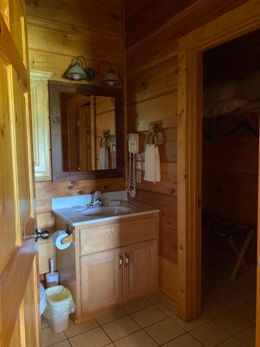 a bathroom with a sink in a log cabin at Grandview Experience Lodge in Spencer