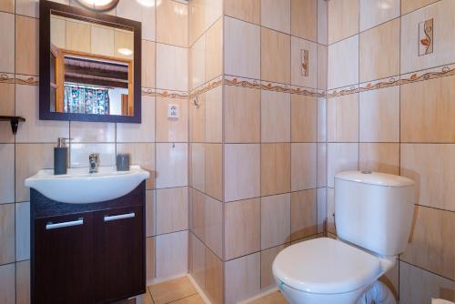ein Badezimmer mit einem WC, einem Waschbecken und einem Spiegel in der Unterkunft Chalupa Zubrik Telgárt in Telgárt