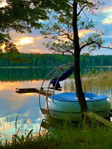 a boat sitting on the water next to a tree at Caravana Juliana - Glamping in Swaderki