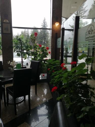 Fotografie z fotogalerie ubytování Hotel Piemonte v destinaci Predeal