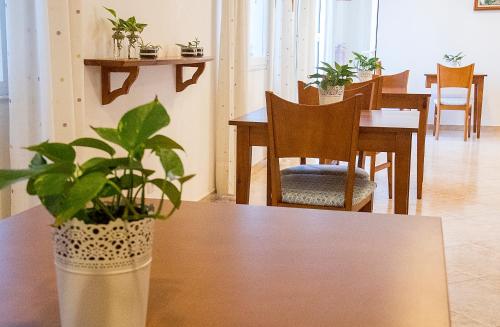 a room with a table with a potted plant on it at Hotel Geminis in Ciutadella