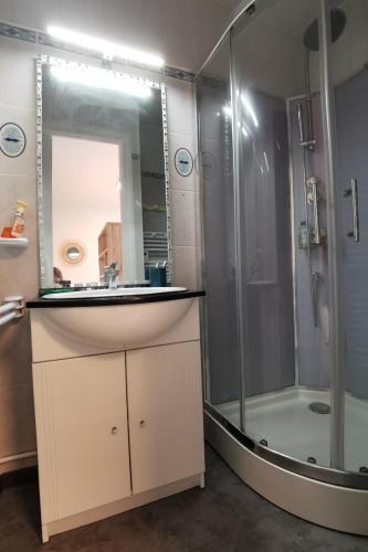 une salle de bain avec un lavabo et une douche dans l'établissement Appartement cosy Roscoff 50 m plage thalasso WIFI PARKING, à Roscoff