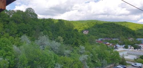 a view of a hill with trees and houses at Hotel Monteoru in Sărata-Monteoru