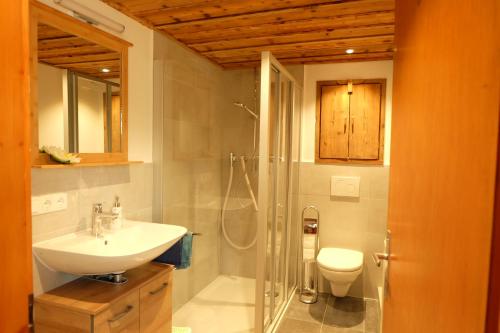a bathroom with a sink and a shower and a toilet at Am Jenbach in Bad Feilnbach
