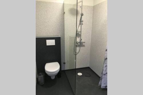 un bagno con wc e doccia in vetro di Strýta Apartment 3 a Ölfus