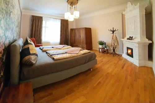 ein Wohnzimmer mit einem Sofa und einem Kamin in der Unterkunft Luxus Ferienwohnung mit hochwertiger Ausstattung Wintergarten in Cottbus