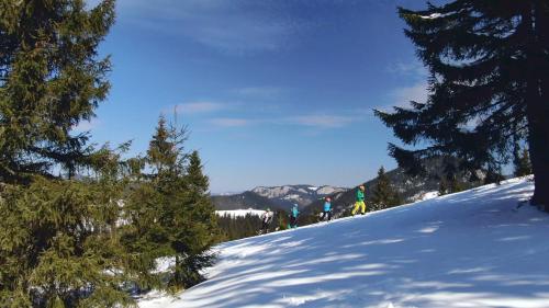a group of people skiing down a snow covered slope at Lina Agropanzió in Tomeşti