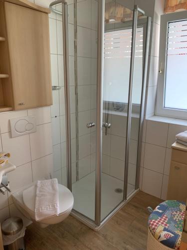 ein Bad mit einer Dusche und einem WC in der Unterkunft Ferienwohnung Dieta in Norderney