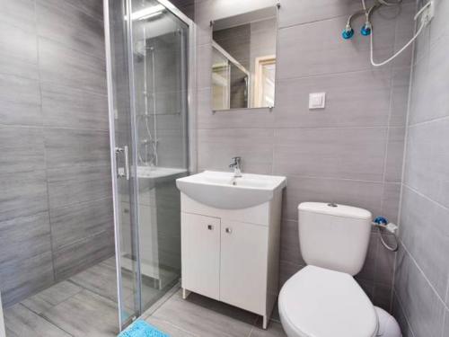 ein Bad mit einem WC, einem Waschbecken und einer Dusche in der Unterkunft Domki Turkusowe Zacisze in Sarbinowo