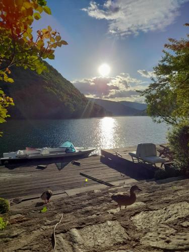 a dock with a boat and ducks on a lake at Forest Dream Lake House in Jajce
