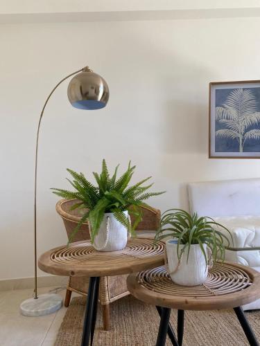 two potted plants on a table in a living room at Tenuta Centoporte in Otranto
