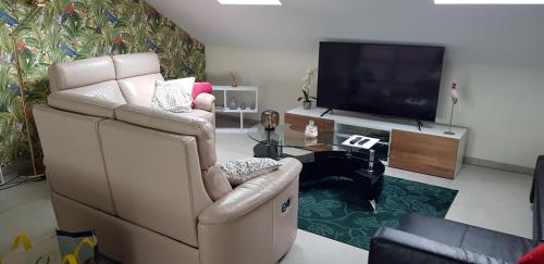 a living room with a couch and a television at LA BINAMERIE in Remicourt