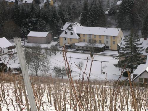 Hotel Dampfmühle en invierno