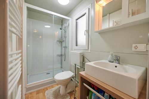 uma casa de banho com um lavatório, um WC e um chuveiro em VINEA PANONIKA wine & mind retreat em Radenci