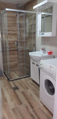 a bathroom with a shower and a washing machine at Apartman Sofija in Banja Koviljača