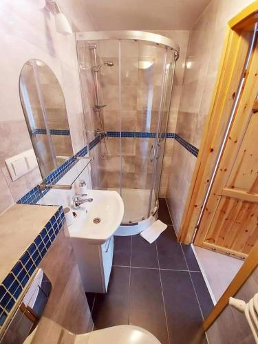 a bathroom with a shower and a sink and a toilet at Pokoje gościnne "Trudziń-SKI" in Świeradów-Zdrój