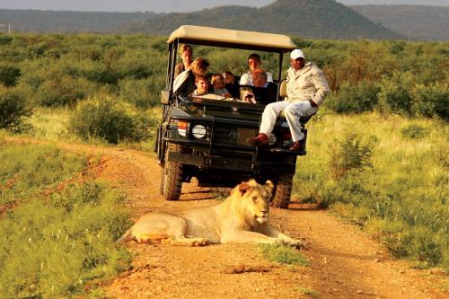 a group of people in a vehicle on a dirt road at Madikwe Hills Private Game Lodge in Madikwe Game Reserve