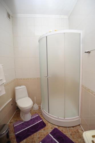 a bathroom with a shower and a toilet with purple mats at Hotel Star in Stryi