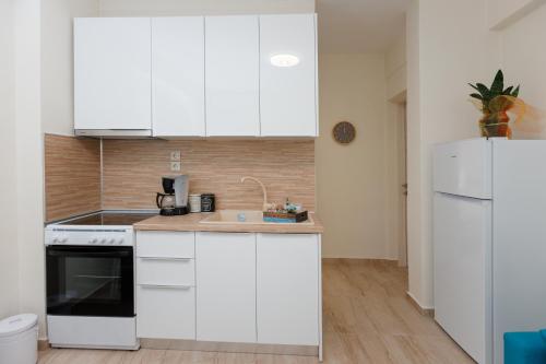 Kuchyň nebo kuchyňský kout v ubytování (Apt.1) Lofos Apartments in Vergia Halkidiki
