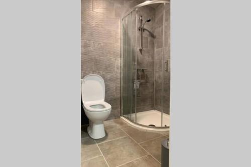 a bathroom with a toilet and a shower at The Strand Awaits Apartment in Cork