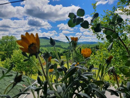 Fotografie z fotogalerie ubytování Guest House Štefanija v destinaci Poljanak
