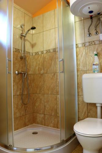 a shower with a glass door next to a toilet at Eszter Nyaralóház in Zánka
