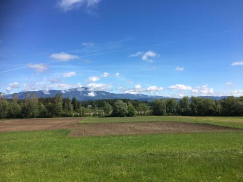 an open field with mountains in the background at Appartements Käthe in Faak am See