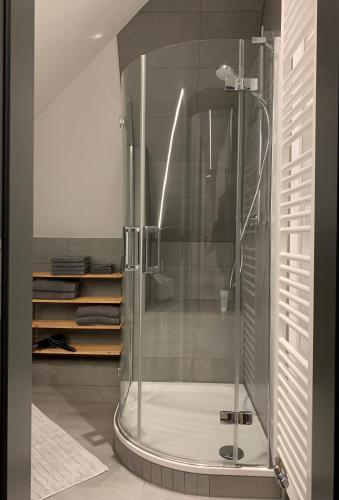 a shower with a glass door in a bathroom at Eldenholz FeWo8 in Waren