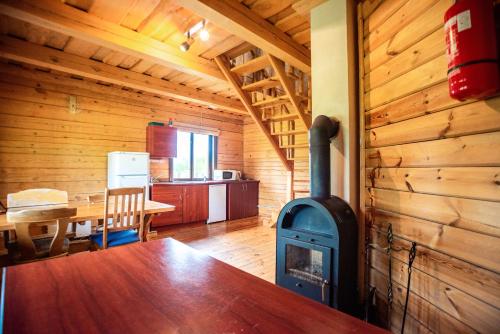 a living room with a wood stove in a cabin at Pas Kaziuką namukas in Palūšė