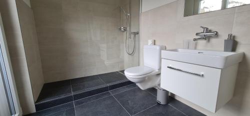 een badkamer met een toilet, een wastafel en een douche bij Hotel Falknerei Galina in Malbun