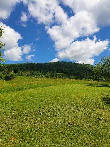 Fotografie z fotogalerie ubytování Guest House Štefanija v destinaci Poljanak