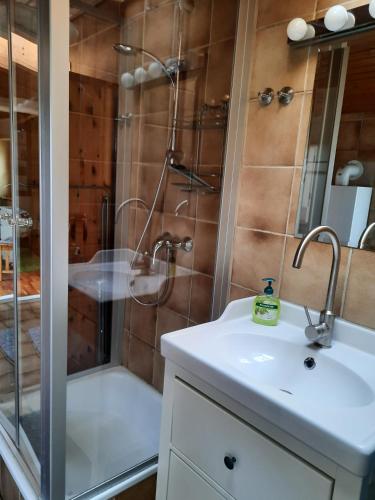 a bathroom with a shower and a sink at Ferienhaus Schmidt in Bernau am Chiemsee